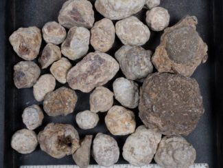 Mexican Red Hot Agate (Berrendo) Nodules