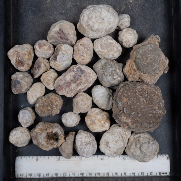 Mexican Red Hot Agate (Berrendo) Nodules