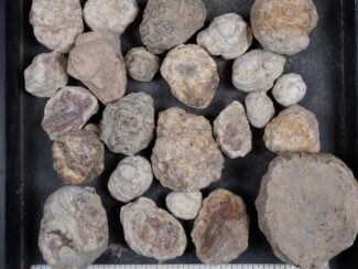 Mexican Red Hot Agate (Berrendo) Nodules