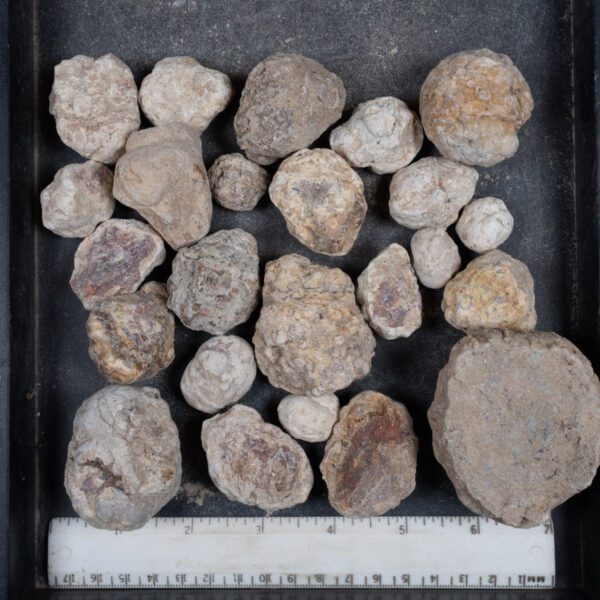 Mexican Red Hot Agate (Berrendo) Nodules