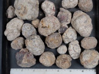 Mexican Red Hot Agate (Berrendo) Nodules