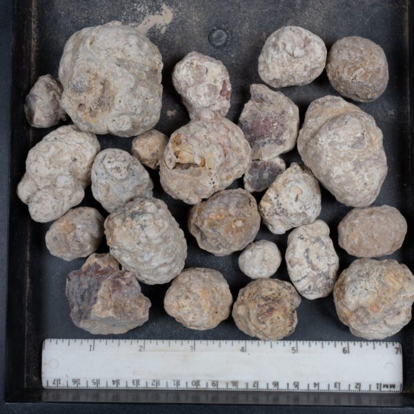 Mexican Red Hot Agate (Berrendo) Nodules