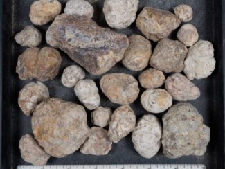 Mexican Red Hot Agate (Berrendo) Nodules