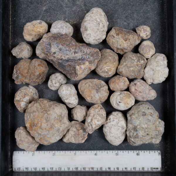 Mexican Red Hot Agate (Berrendo) Nodules