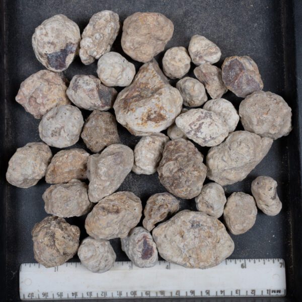 Mexican Red Hot Agate (Berrendo) Nodules