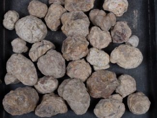 Mexican Red Hot Agate (Berrendo) Nodules