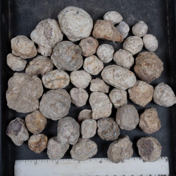 Mexican Red Hot Agate (Berrendo) Nodules