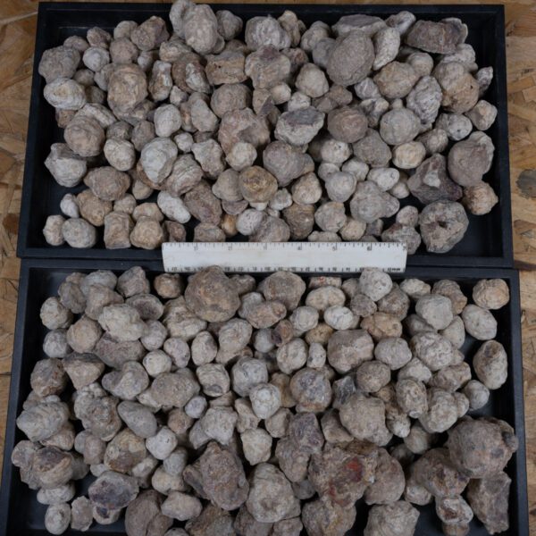 Mexican Red Hot Agate (Berrendo) Nodules - 16LB Bulk
