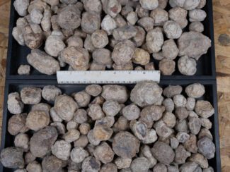 Mexican Red Hot Agate (Berrendo) Nodules - 16LB Bulk