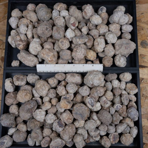 Mexican Red Hot Agate (Berrendo) Nodules - 16LB Bulk