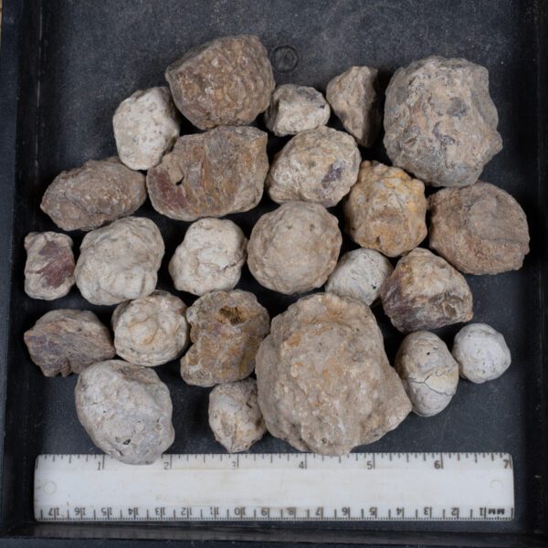 Mexican Red Hot Agate (Berrendo) Nodules