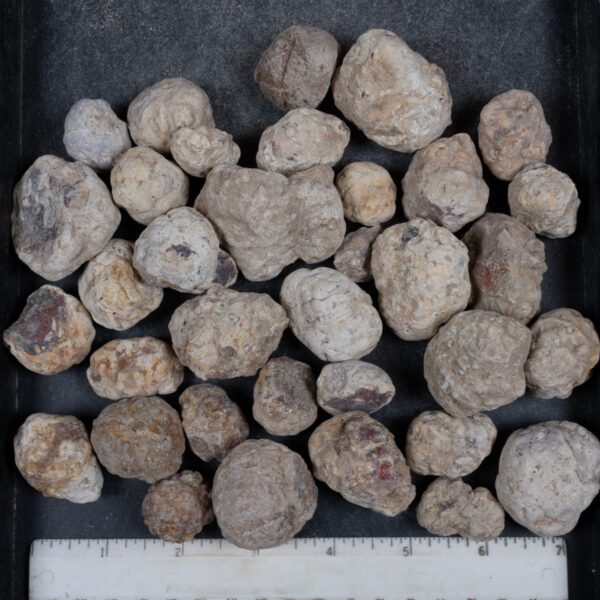 Mexican Red Hot Agate (Berrendo) Nodules