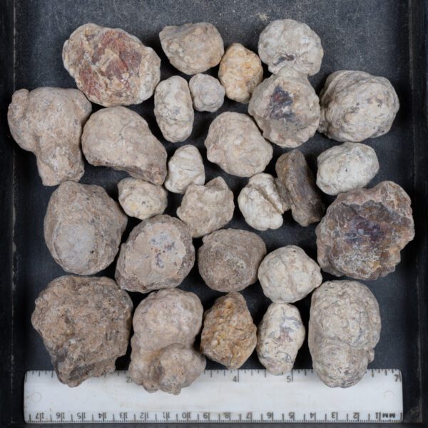Mexican Red Hot Agate (Berrendo) Nodules