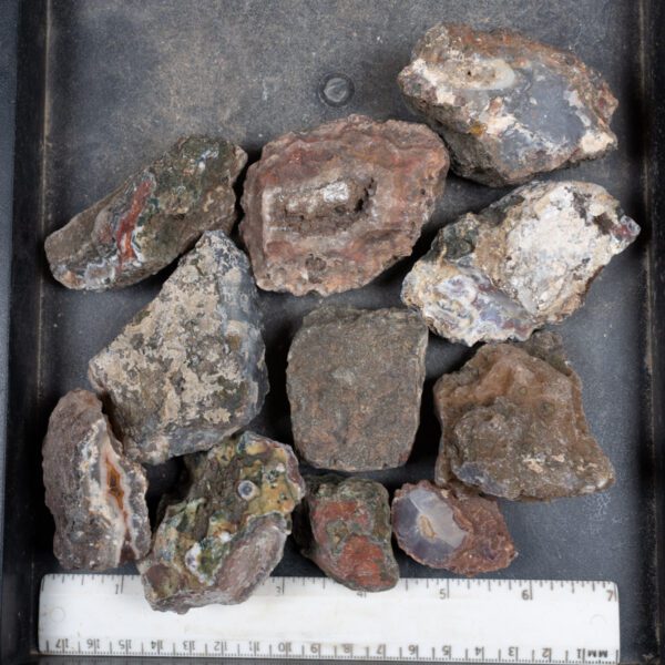 Moroccan Agate Nodules