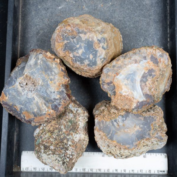 Moroccan Agate Rough