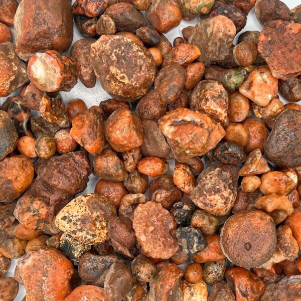 Moroccan Carnelian Nodules Tumbling Rough (Per LB)