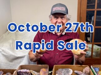 Rapid Sale - October 27th