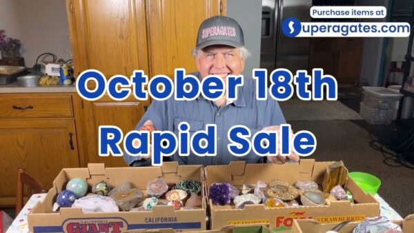 Rapid Sale - October 18th